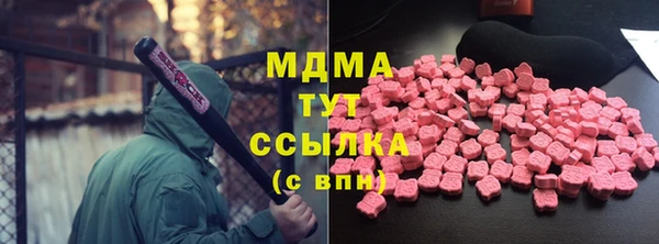 соль ск Инсар