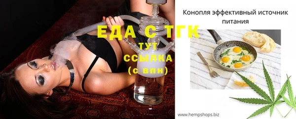 индика Инта