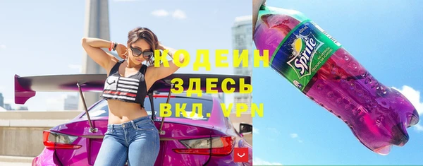 индика Инта