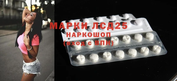 индика Инта
