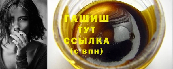 индика Инта