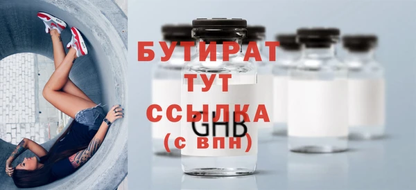 индика Инта