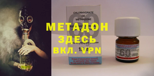 индика Инта