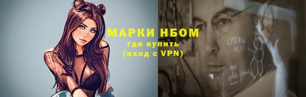соль ск Инсар