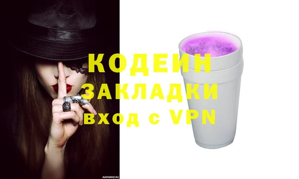 индика Инта