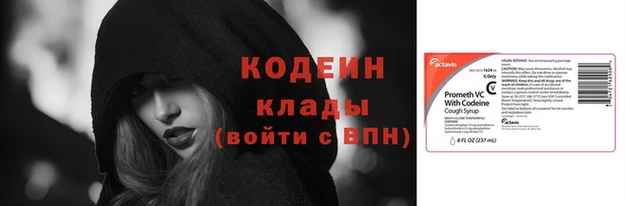 индика Инта