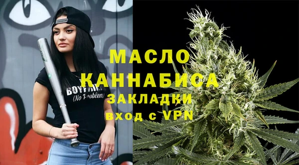 соль ск Инсар