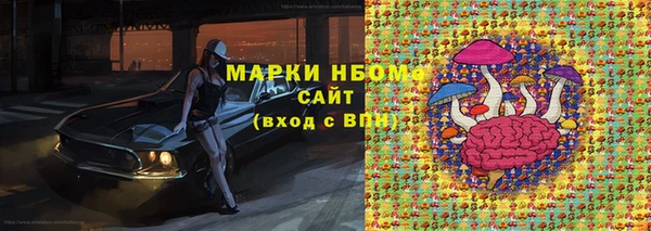 соль ск Инсар