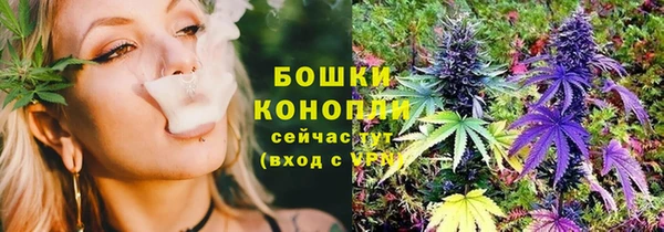 мяу мяу кристалл Иннополис