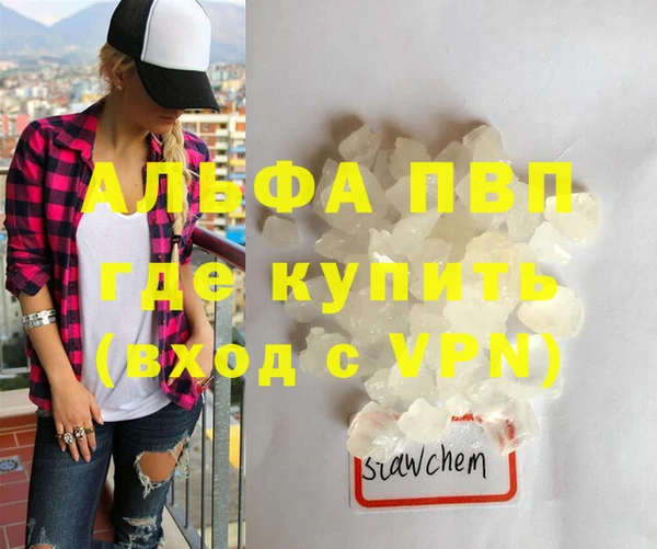 индика Инта