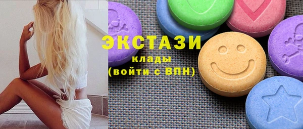 соль ск Инсар