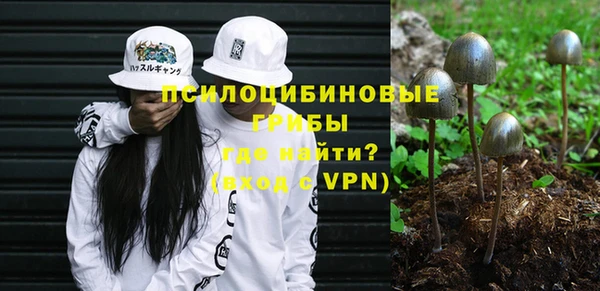 мяу мяу кристалл Иннополис
