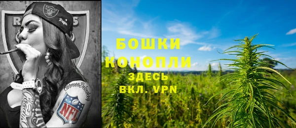 мяу мяу кристалл Иннополис