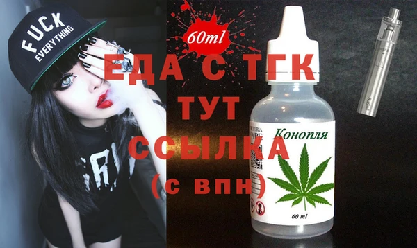 соль ск Инсар