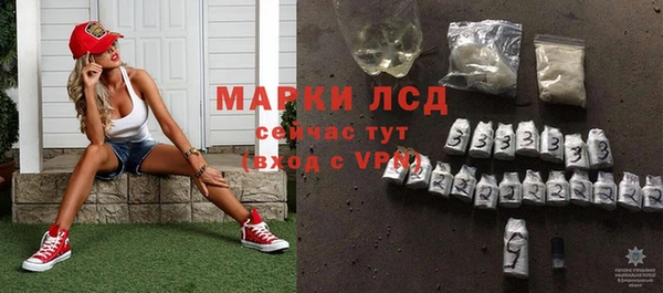 индика Инта