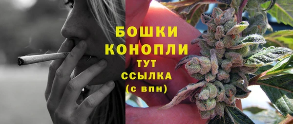 мяу мяу кристалл Иннополис
