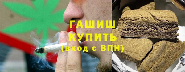 индика Инта