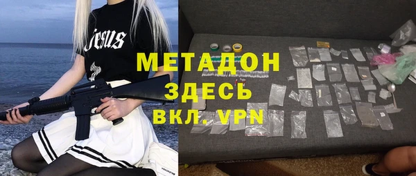 индика Инта
