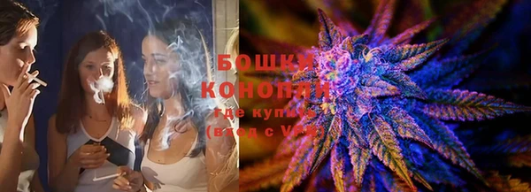индика Инта