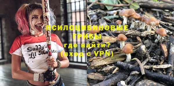 индика Инта