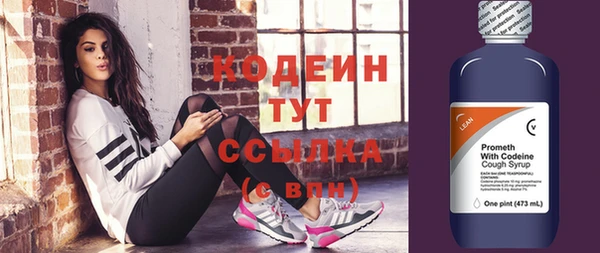 соль ск Инсар