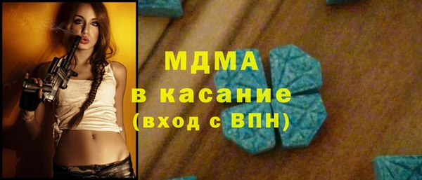 индика Инта