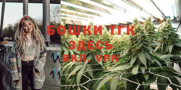 индика Инта