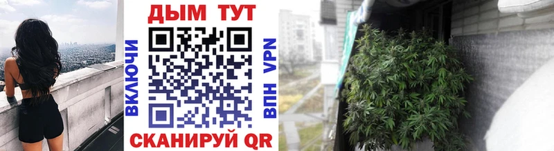 Купить закладки  Новохопёрск  Конопля марихуана 